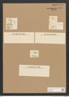Diatomeae indet. Zeichnungen Sammlung Grunow Nr. 5067 (NHMW-BOT-W0373335)